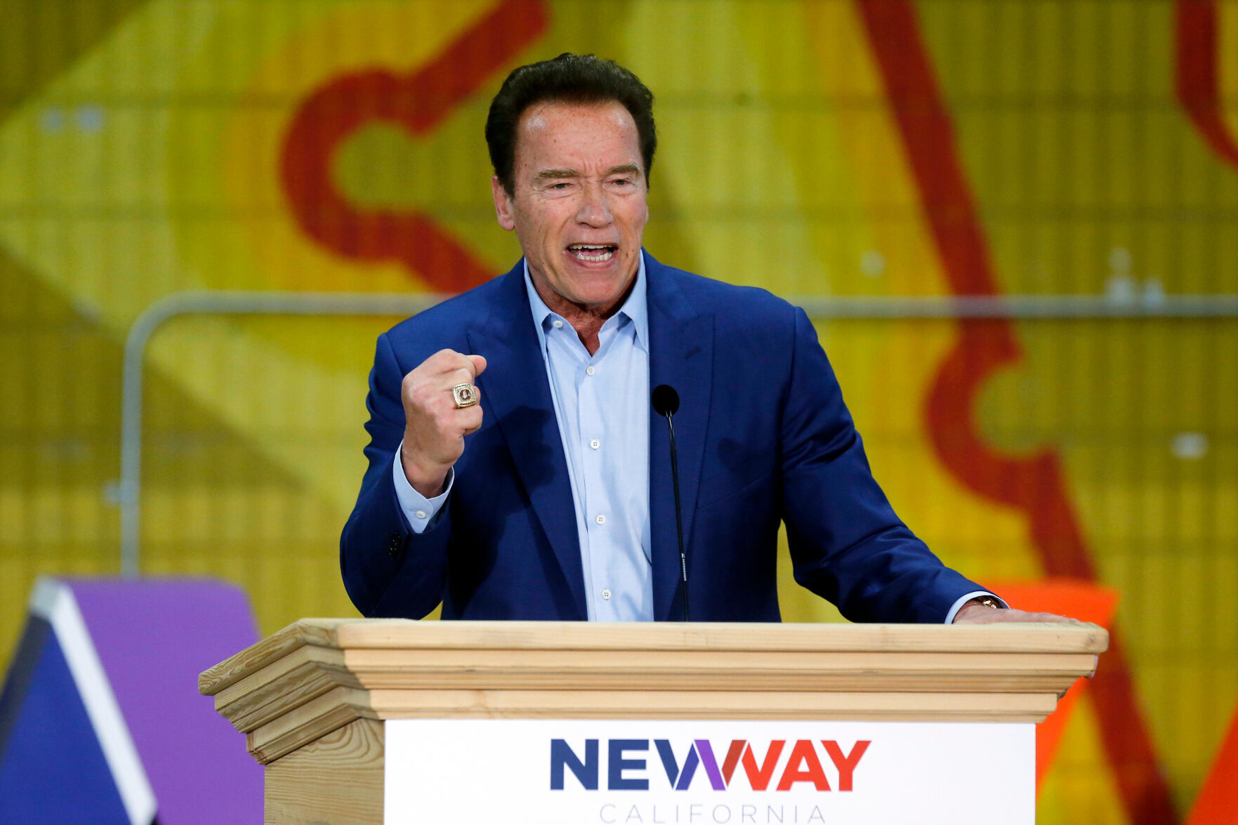 Arnold Schwarzenegger, 2018
